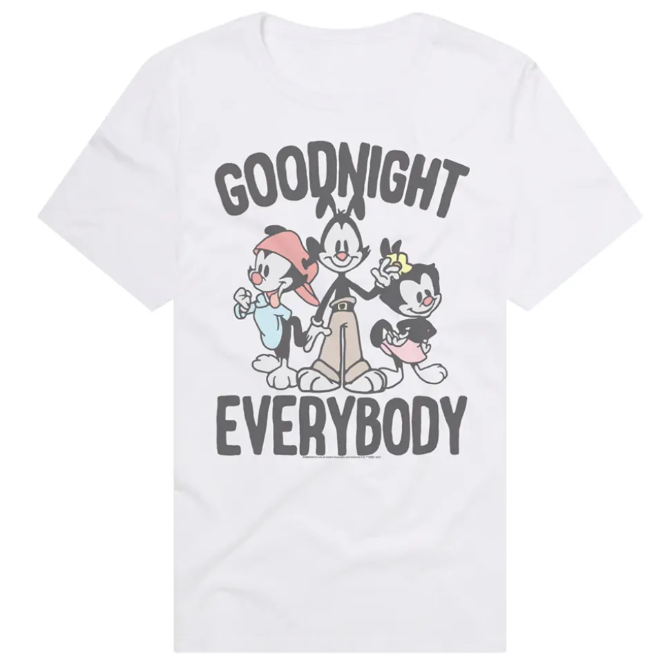 Animaniacs - The Siblings