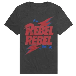 David Bowie - The How Could They Know