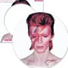 David Bowie Aladdine Sane 450 Piece Record Disc Jigsaw Puzzle
