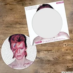 David Bowie Aladdine Sane 450 Piece Record Disc Jigsaw Puzzle