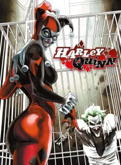 DC Comics Harley Quinn & Joker 500 Piece Jigsaw Puzzle