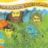 Endless Summer (Vinyl) - The Beach Boys