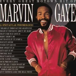 Every Great Motown Hit Of Marvin Gaye: 15 Spectacular Performances (Vinyl) - Marvin Gaye