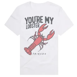 Friends - The Rachel & Ross