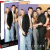 Friends Cast 500 Piece Jigsaw Puzzle