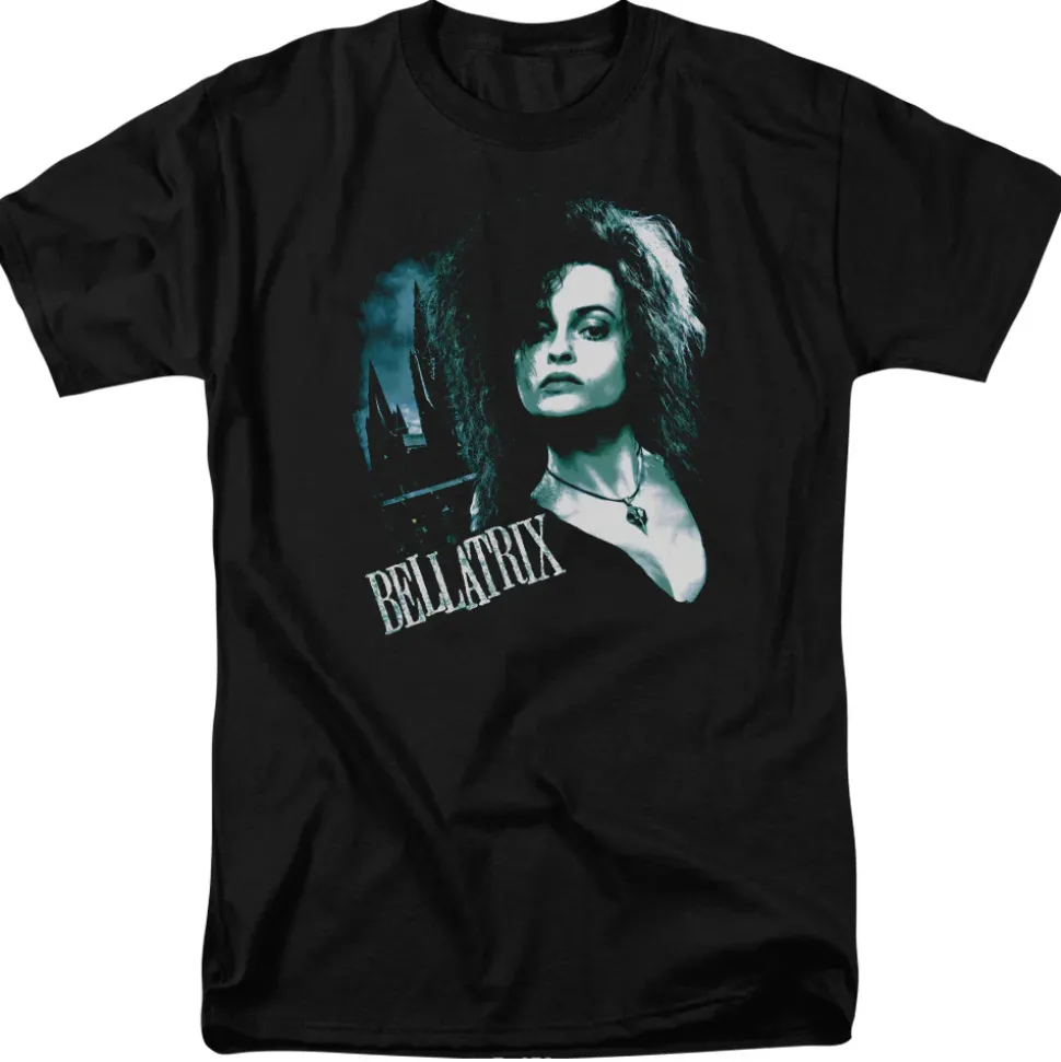 Harry Potter - Bellatrix Closeup