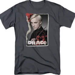 Harry Potter - Draco Frame