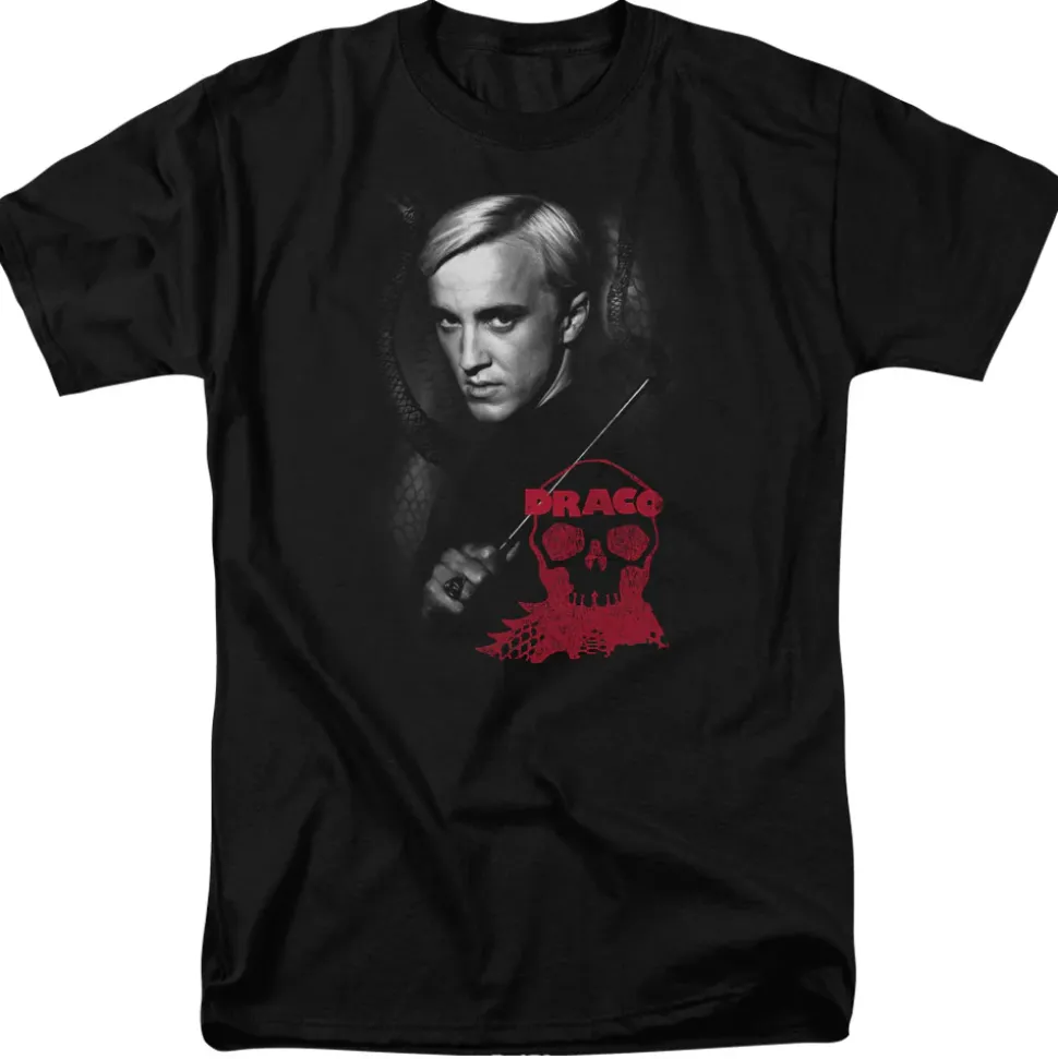 Harry Potter - Draco Portrait