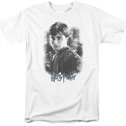 Harry Potter - Harry in the Woods