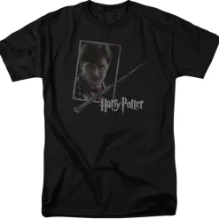 Harry Potter - Harry's Wand & Portrait