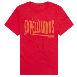 Harry Potter - The Hogwarts School