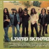 Icon (CD) - Lynyrd Skynyrd