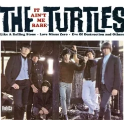 It Ain't Me Babe (Vinyl) - The Turtles