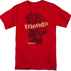 Labyrinth - Ludo Friend