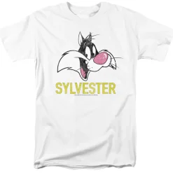 Looney Tunes - Sylvester Head