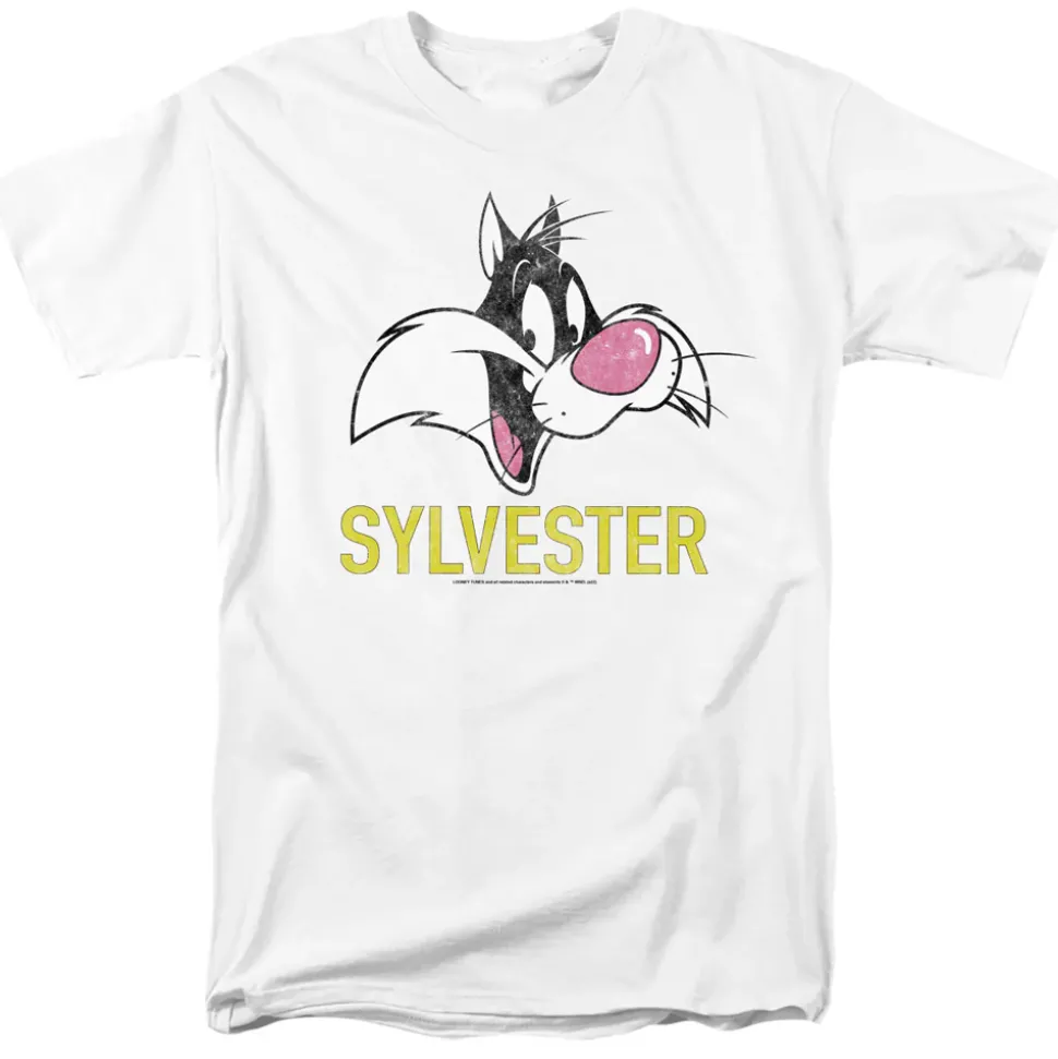Looney Tunes - Sylvester Head