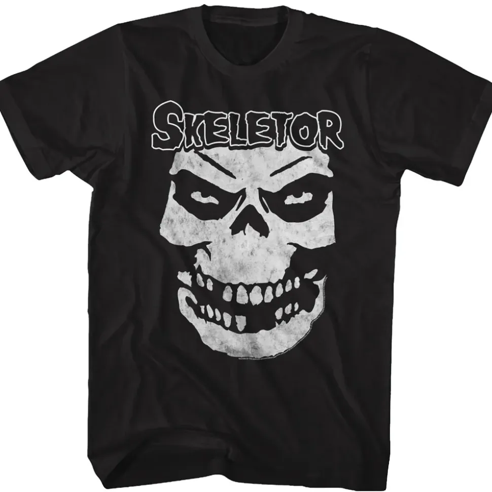 Masters of the Universe - Skeletor Face