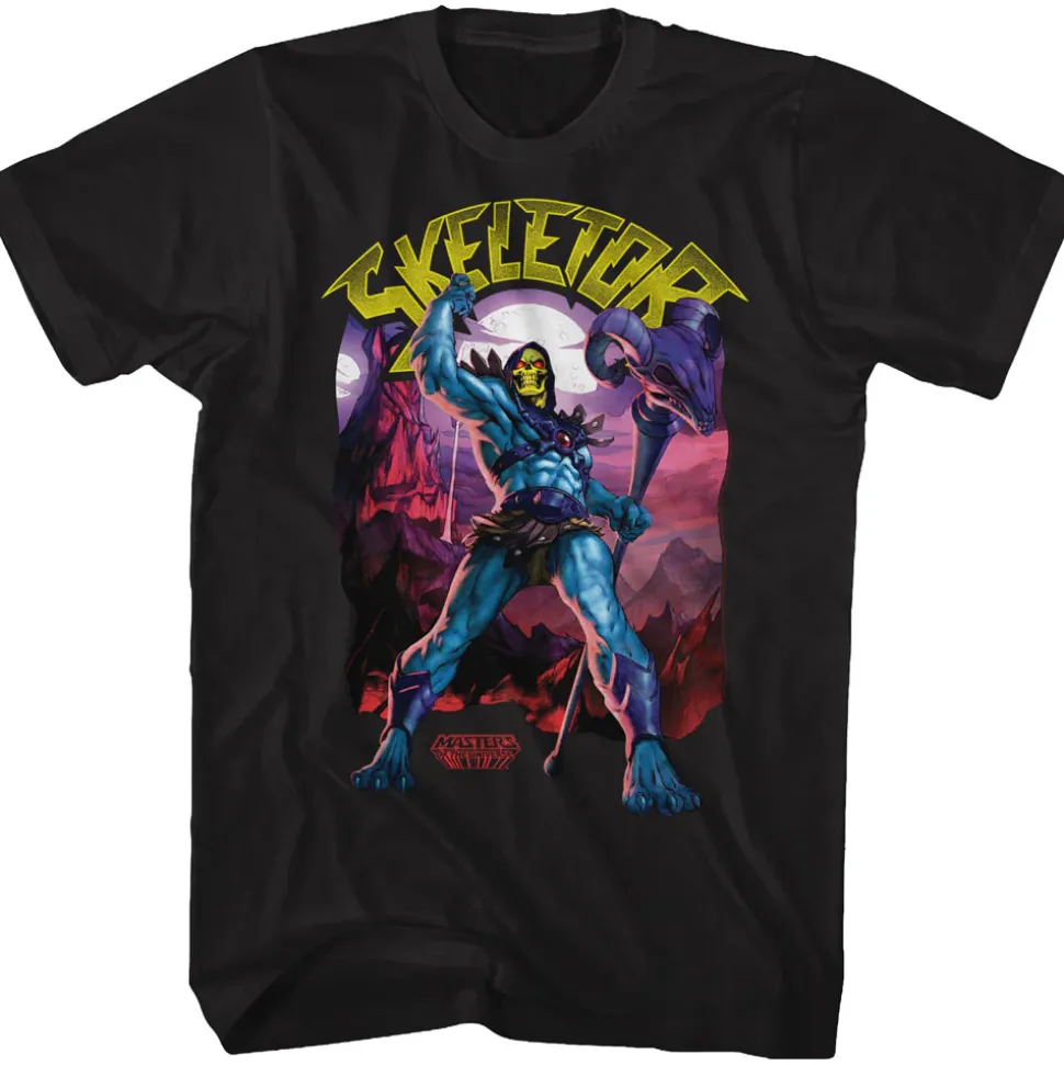 Masters of the Universe - Skeletor Power