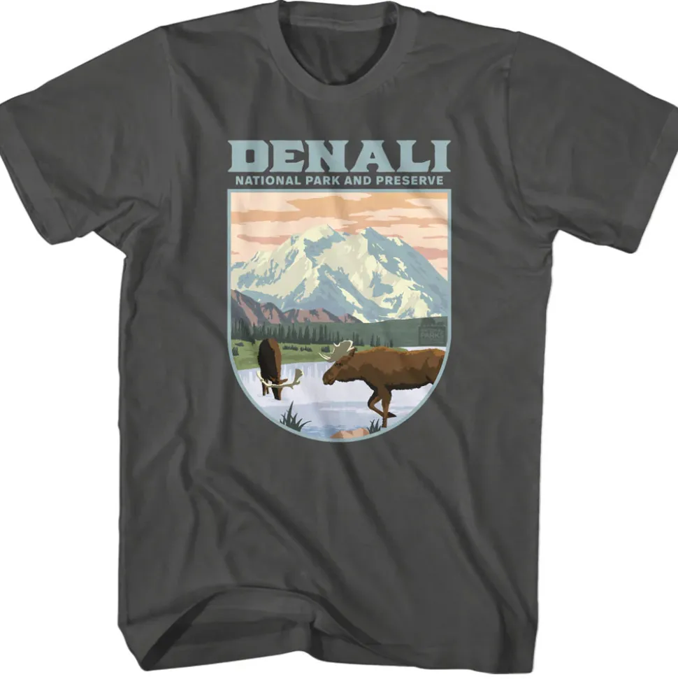 National Parks - Denali Landscape