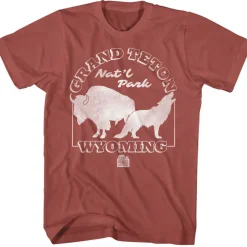 National Parks - Grand Teton Wildlife