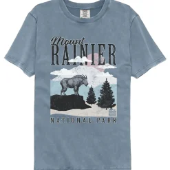 National Parks - Mount Rainier Minimalist Landscape