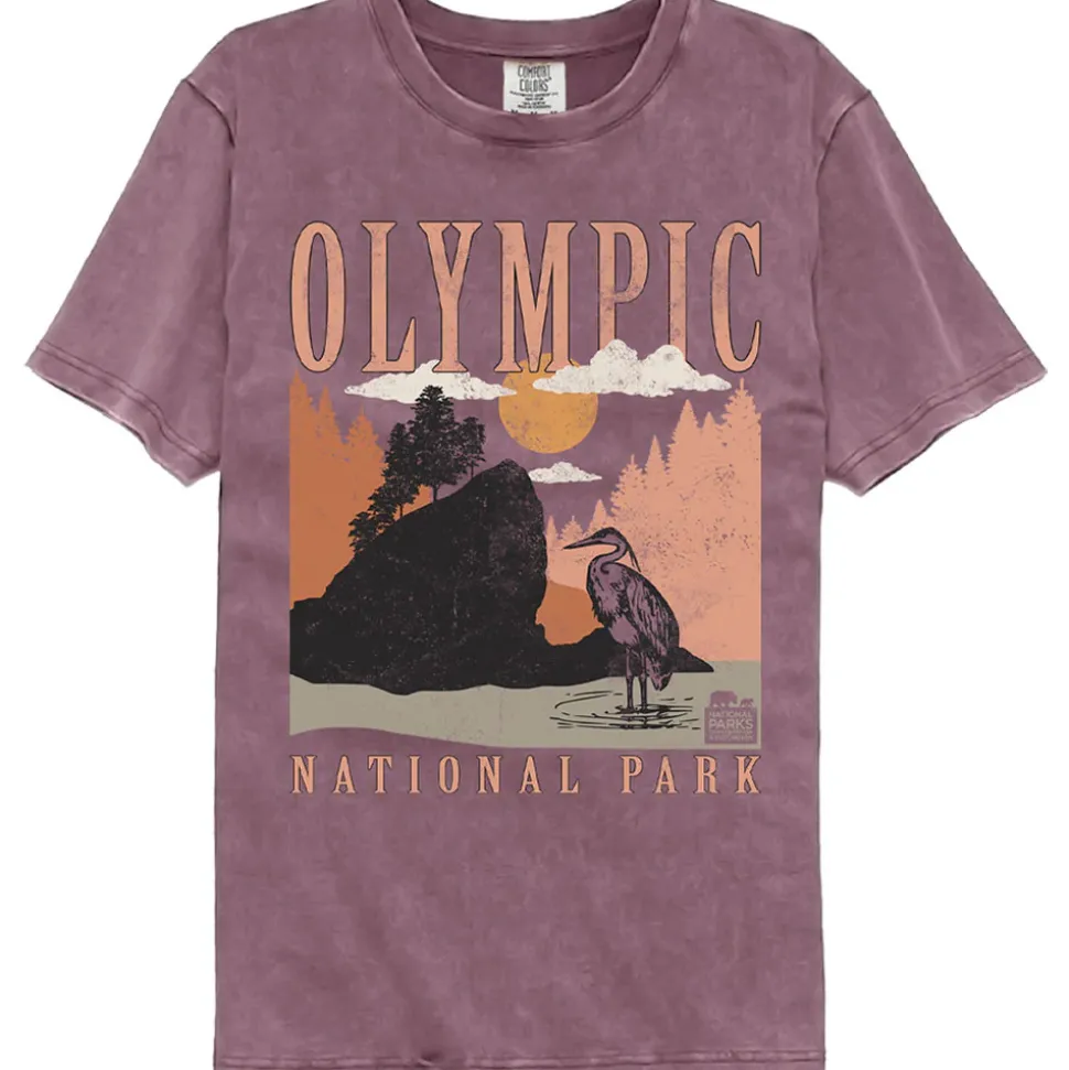 National Parks - Olympic Minimalist Landscape