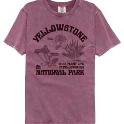 National Parks - Yellowstone Rare Plants