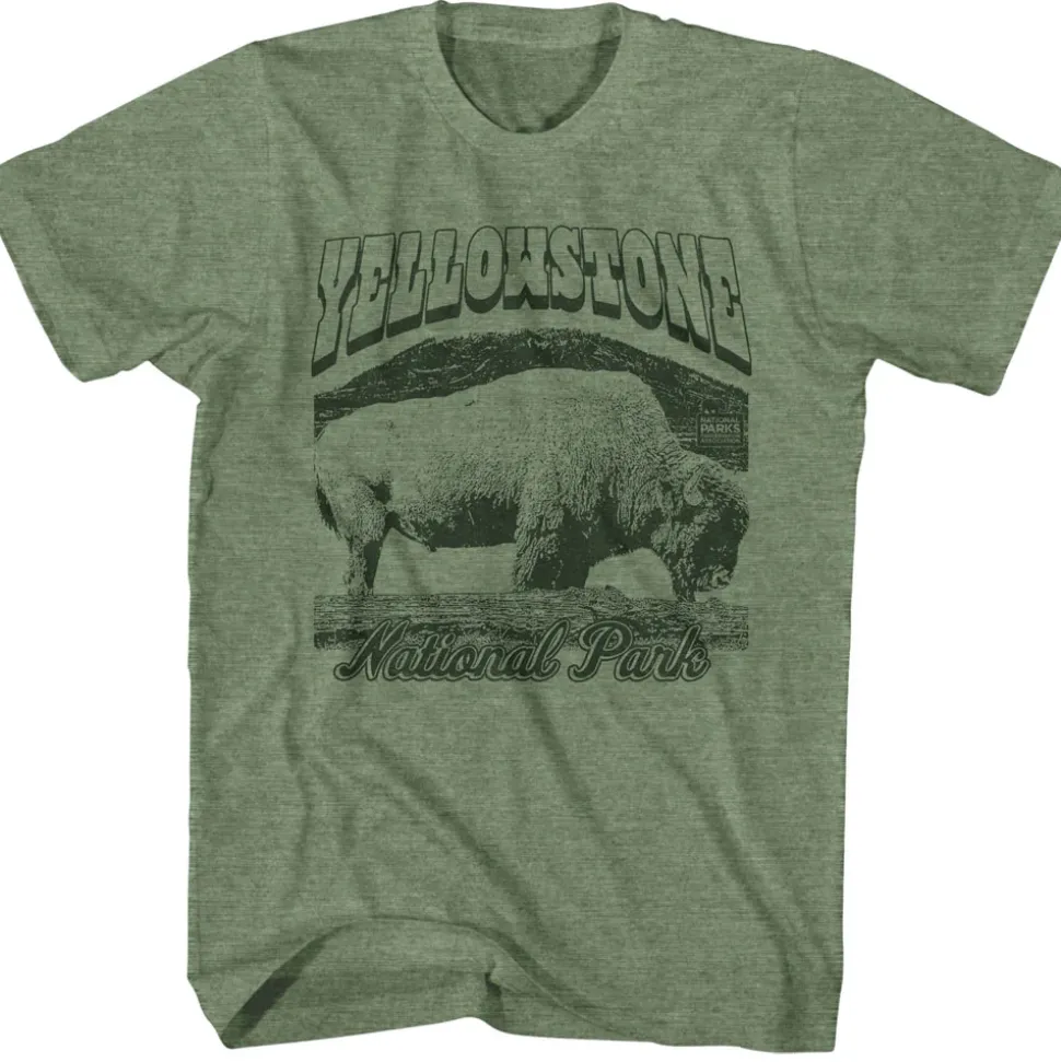 National Parks - Yellowstone Bison