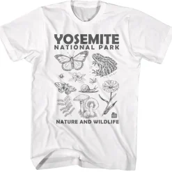 National Parks - Yosemite Nature and Wildlife