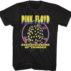 Pink Floyd - Delicate