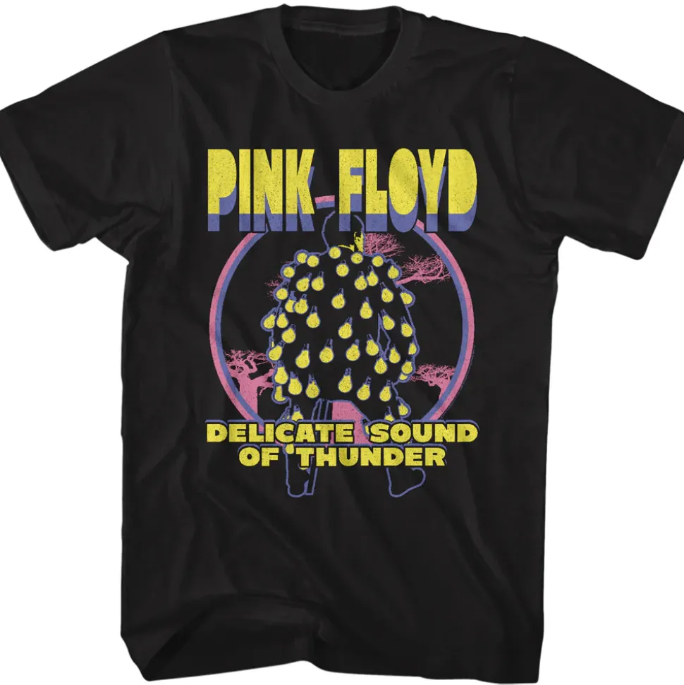 Pink Floyd - Delicate