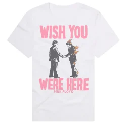 Pink Floyd - The Wish You Were Here