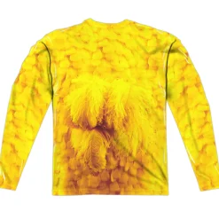 Sesame Street - Big Bird Costume (front & back)