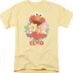 Sesame Street - Flowers for You