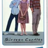 Sixteen Candles 500 Piece Jigsaw Puzzle in Plastic VHS Video Case