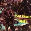 Soul Rebels Dub - YELLOW & RED HAZE (Vinyl) - Bob Marley