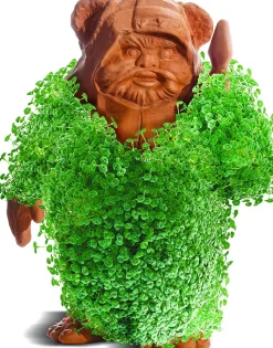 Star Wars - Ewok Chia Pet Decorative Pottery Planter