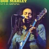 Sun Is Shining (Yellow Marble) (Vinyl) - Bob Marley