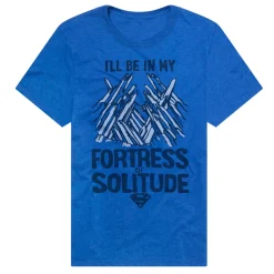 Superman - The Fortress