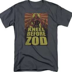 Superman - Zod Poster