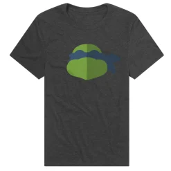 Teenage Mutant Ninja Turtles - Leo Head