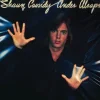 Under Wraps (CD) - Shaun Cassidy